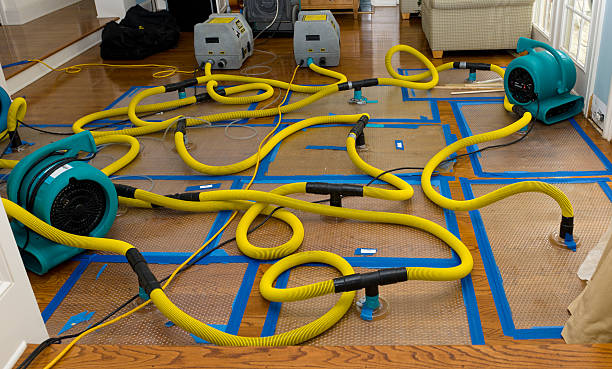 Professional Structural Drying And Dehumidification technician working in East Liberty, OH