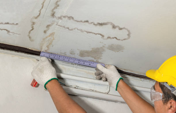 Affordable Water Damage Repair solutions in East Liberty, OH
